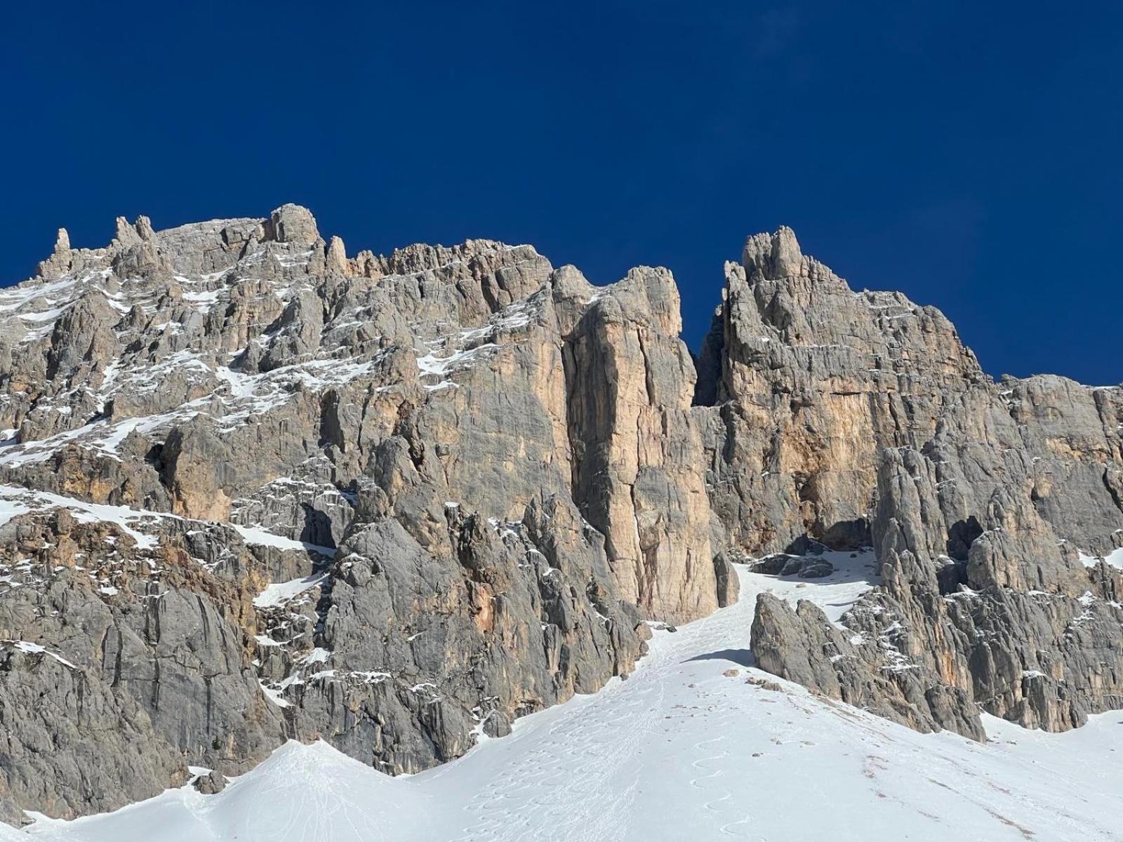 Chalet Tschattlhof Dolomites Cavalese Exterior foto