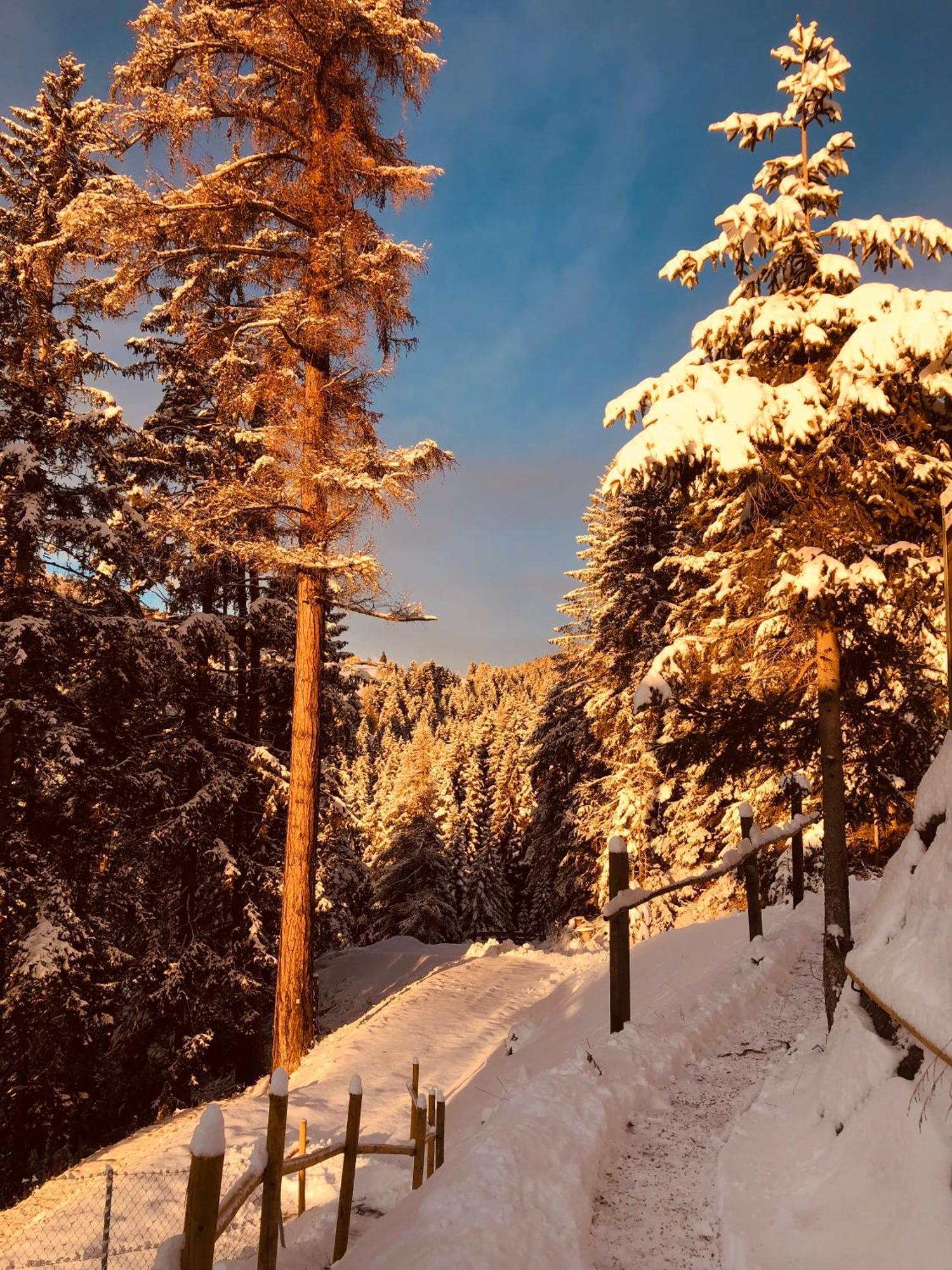 Chalet Tschattlhof Dolomites Cavalese Exterior foto